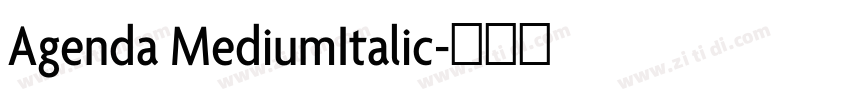 Agenda MediumItalic字体转换